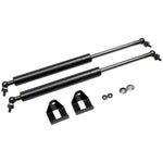 Nissan 2pcs Rear Trunk Tail Gate Strut Damper