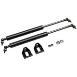 Nissan 2pcs Rear Trunk Tail Gate Strut Damper