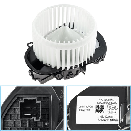 |14:173#DRAUTOPART Brand|3256804485899785-DRAUTOPART Brand